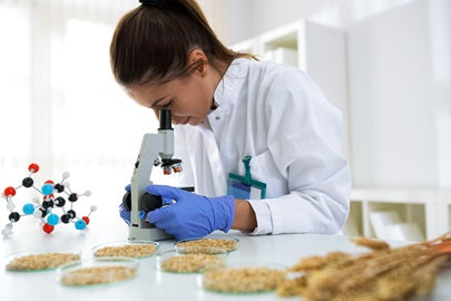 What Independent Testing Found About Heavy Metals in Spices