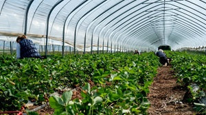 What "USDA Organic" Actually Requires: The Certification Process Explained