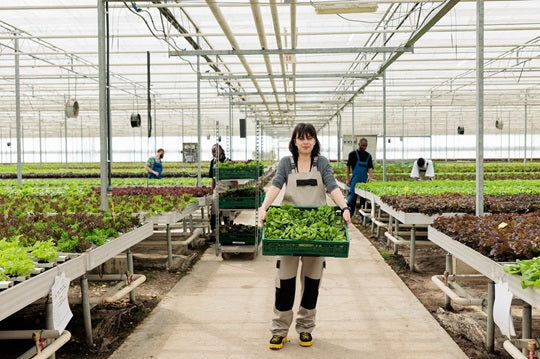 Regenerative Organic Certified vs. USDA Organic: What's the Difference?
