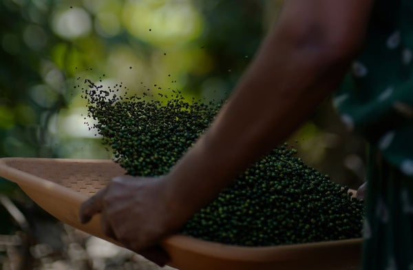 Sun-drying spices