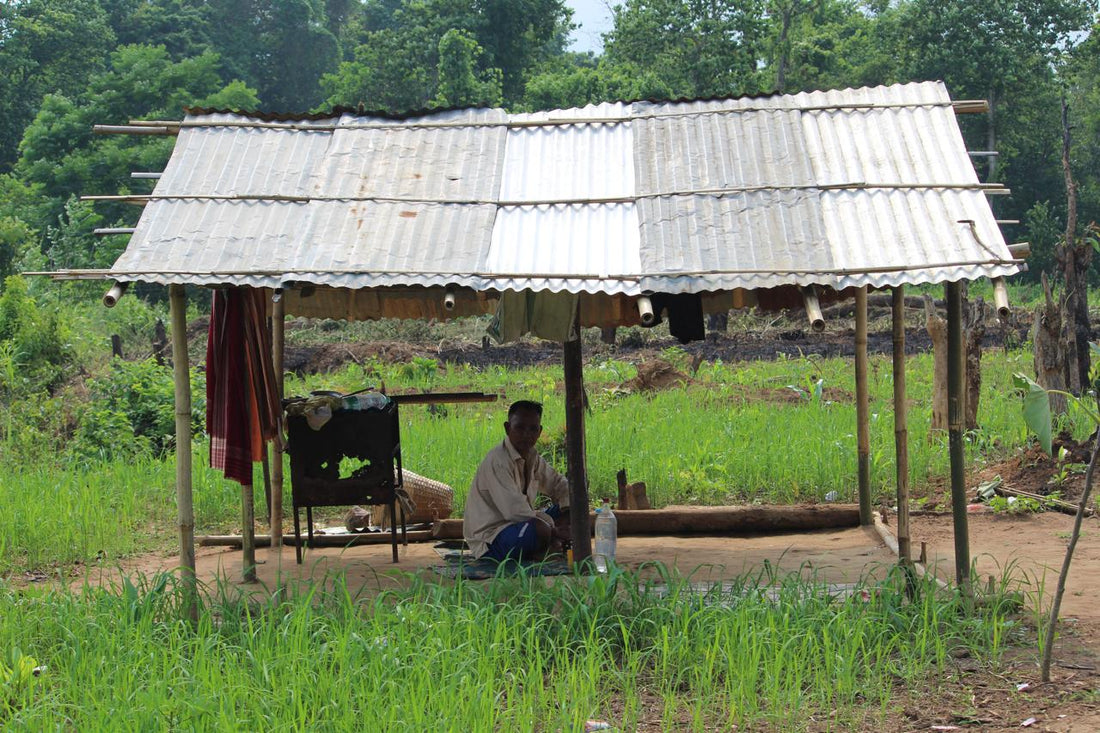 A Raman Rasa partner farmer tending crops in Sri Lanka