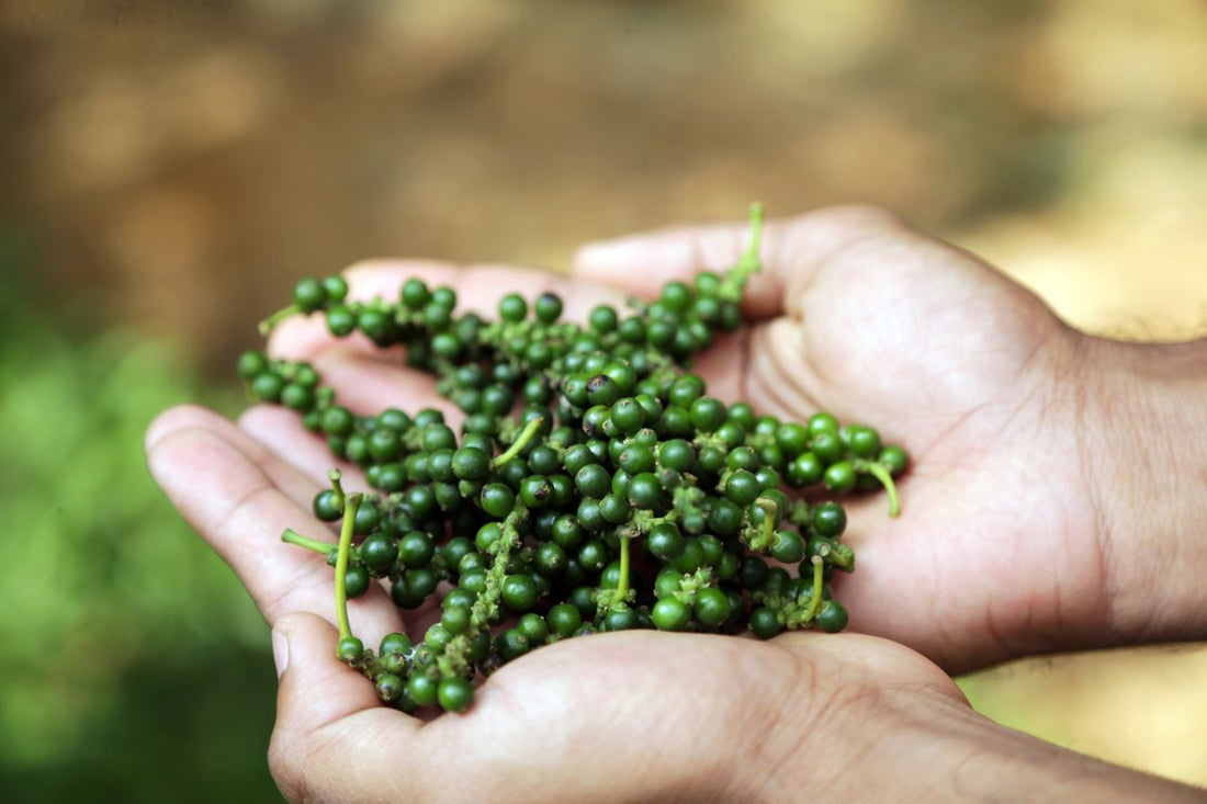 A Raman Rasa partner farmer tending crops in Sri Lanka