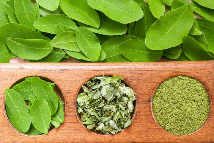 Moringa vs. Spinach: What the Nutrient Comparison Actually Shows
