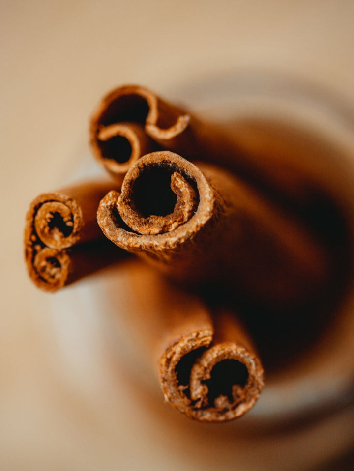 Close-up of the rolled ends of cinnamon quills, showing the layers of bark