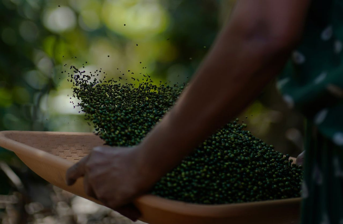 Spices sun-drying at our partner farm in Sri Lanka